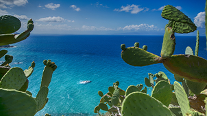 Panorama con mare e fichi d'india in primo piano